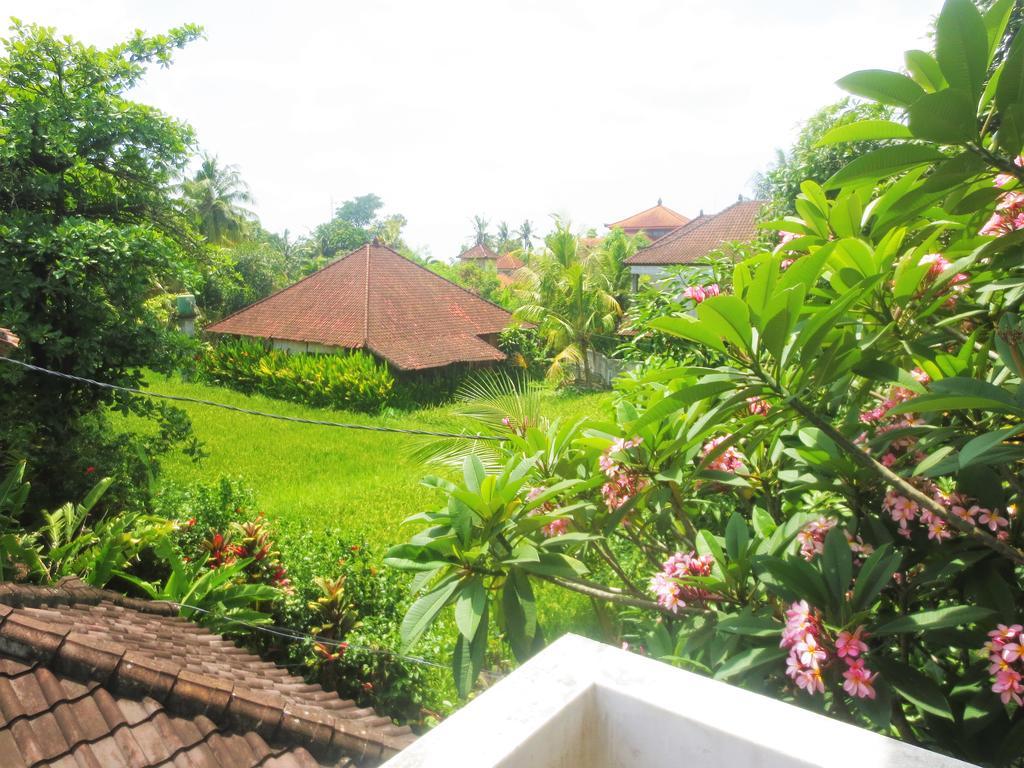 Wisma tamu Peteka